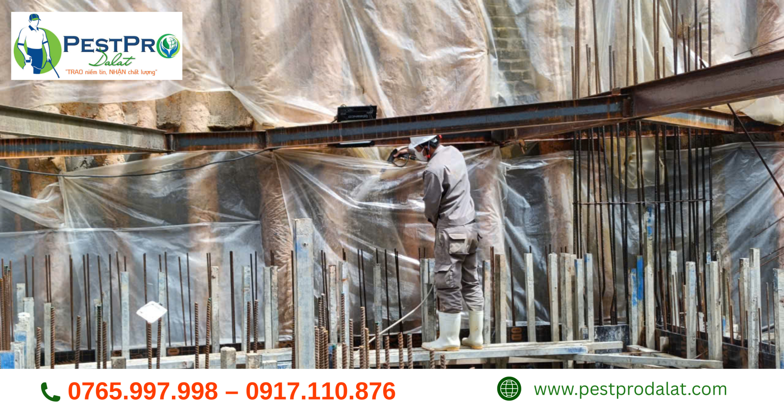 Diệt mối tận gốc tại Đà Lạt