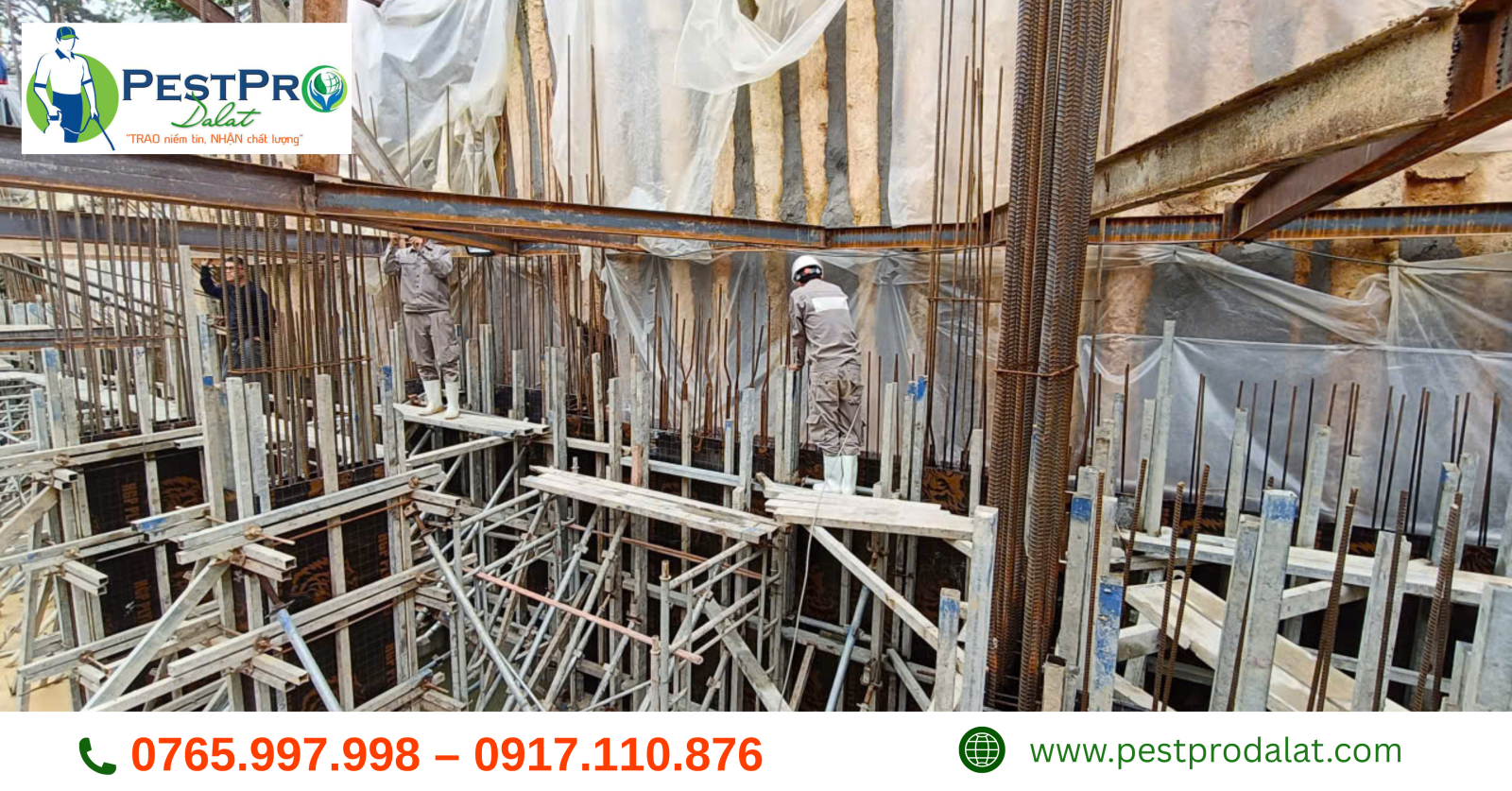 Công ty diệt mối tại Đà Lạt