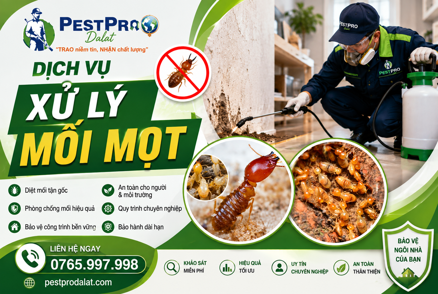 Xử Lý Mối Mọt