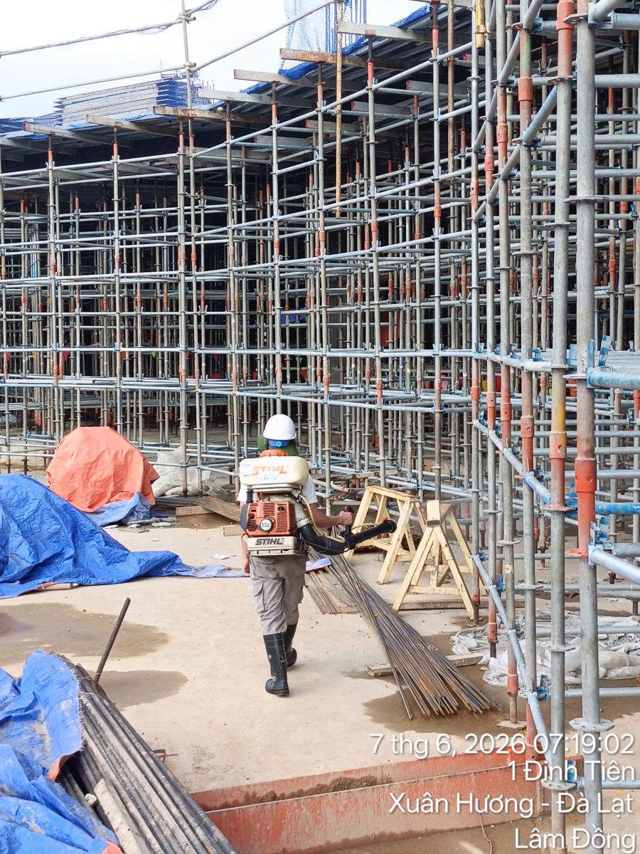 Xử Lý Mối Nền Móng Công Trình - Xử lý mối khu vực hệ giàn giáo sắt công trình lớn tại Đỉnh Tiên Đà Lạt